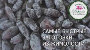 Самые быстрые заготовки из жимолости