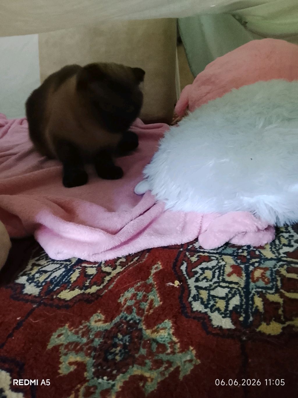 Новый дом из подушек!♡ смотреть онлайн