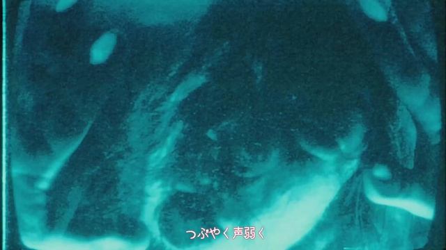 10657538640617