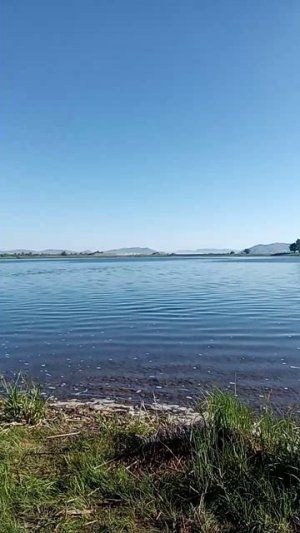Вот и лето пришло 🥵😎🎣