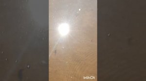 Где раки зимуют..или Золотые пески России.
