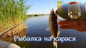 Рыбалка на карася. Ловим на поплавочную снасть