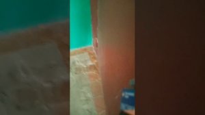 я иду к другой бабушке