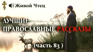 МУЖ УШЕЛ К МОЛОДОЙ, СКАЗАВ: «ТЫ ДЛЯ МЕНЯ — МУЗЕЙ!... ЛУЧШИЕ ПРАВОСЛАВНЫЕ РАССКАЗЫ часть 83