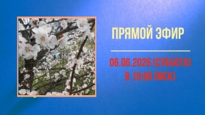 Анонс эфира 06.06.2026