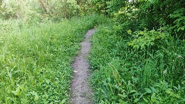 СЪЕЗДИЛА К РОДИТЕЛЯМ ❤️ смотреть онлайн