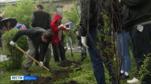 25 сакур высадили в Сквере влюбленных в Иркутске