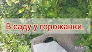 В саду у горожанки.