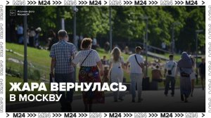 Оранжевый уровень опасности объявлен из-за жары в Москве в начале недели - Москва 24