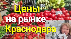Цены на рынке Краснодара, что по чем, клубника-140р