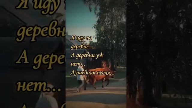 я ИДУ ПО ДЕРЕВНЕ