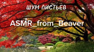 Шум листьев.
