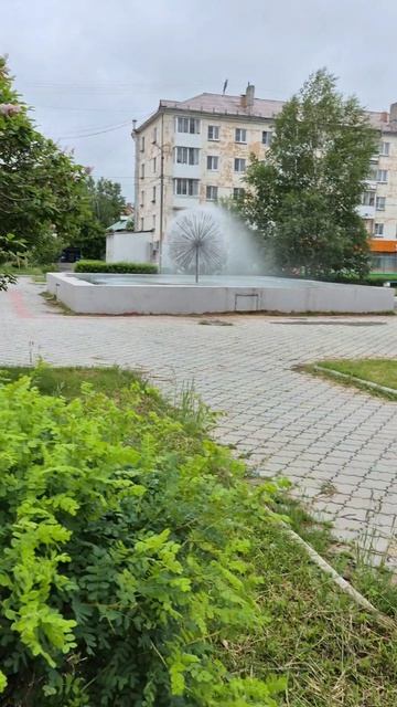 06.06.2026г Вечерняя прогулка после дождя