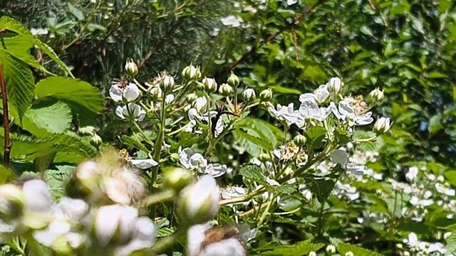 Сегодня все работают, а я отдыхаю. смотреть онлайн