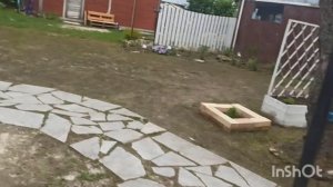 Сходила по теплицам, прошлась по огороду. Живём в деревне🥰
