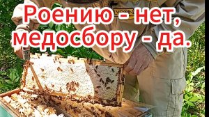 Лучший и единственный способ борьбы с роением на нашей пасеке.