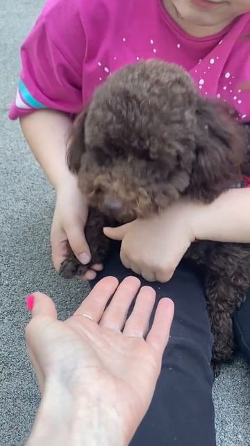 Посмотрите кто к нам пришел