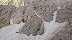 Красочная птица в горах Кульсум.