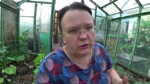 Почему не завязываются огурцы