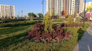 Анапа, Лето пришло ! 
Розы цветут, прогулка в Черноморском парке. 
Танцы . 05.06.2026.