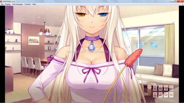 Начинаем учиться [NekoPara vol.1 #6]