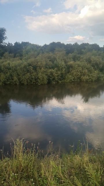 рыбалка смотреть онлайн