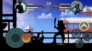 Shadow fight