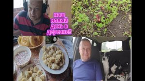 Наш новый день в деревне.Поездка в лес .Первая ягода.ЗЕМЛЯНИКА/