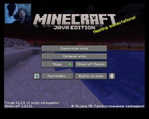 играю в майнкафт на сервере hype.pro повышаем клан