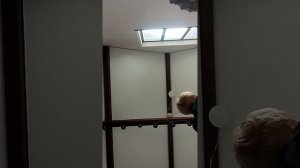 Молчу 1 Час Челлендж