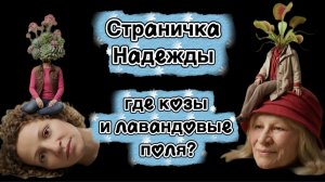 Страничка Надежды Нашлась потеря 10 дней в теплице ничего не делали Опять все пойдет коту под хвост