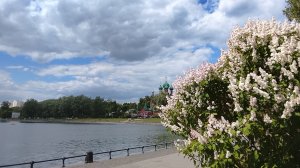 Останкинский (Дворцовый пруд) - место где встречается история с современностью ...