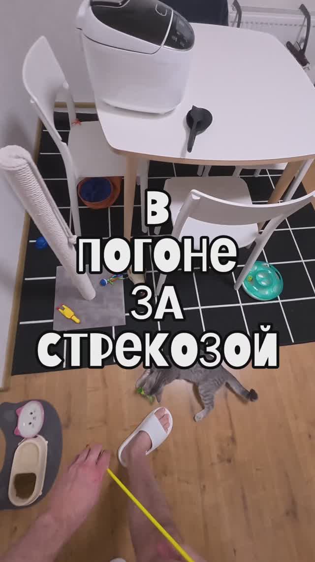 В погоне за стрекозой