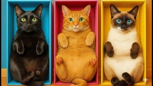 Сумасшедшие гаджеты для домашних животных, которые вам нужны!🐾 Гениальные трюки для кошек дома
