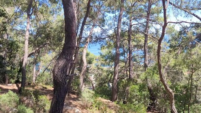 Турция Кемер Кириш вид с горы на море 27.05.2026 смотреть онлайн