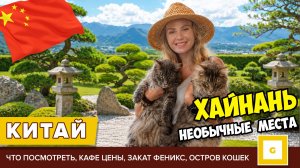 #2 ХАЙНАНЬ НЕБАНАЛЬНЫЕ МЕСТА: БЕЗ ЭКСКУРСИЙ. САНЬЯ ОСТРОВ КОШЕК, ПАРК ФЕНИКС, ЯПОНСКИЙ САД ЦЕНЫ КАФЕ