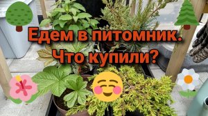 Едем в питомник. Что купили?