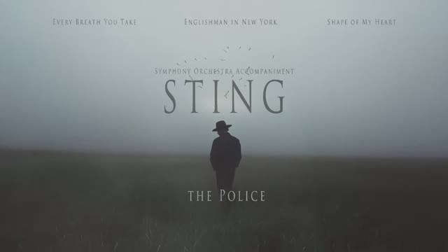 Sting — Elegant Orchestral Instrumentals ｜ Symphonic Sound ｜ No Vocals (1 Hour)