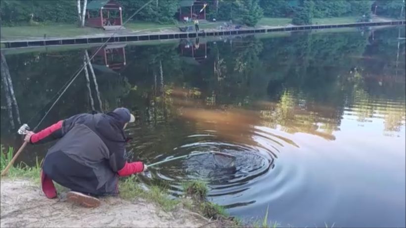 Утренний обзор с нижнего водоёма. Клёвое место, Лосиный остров. смотреть онлайн
