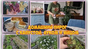 Гулять так гулять! Не зря надеялась ☝🤩 Орхидеи. Контейнеры с малышнёй и другие цветы
