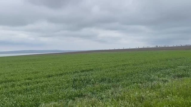 15788337203962 смотреть онлайн