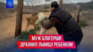 Муж блогерши Карины Каспарянц дразнил львицу своим ребенком