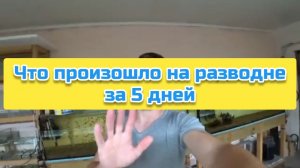 Что произошло на разводне за 5 дней