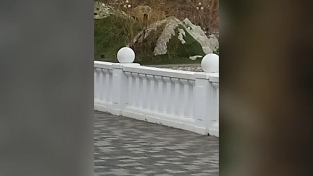 г. Железноводск