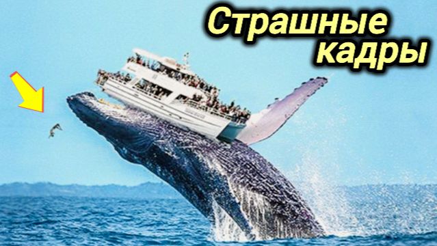 06-06-2026. ЧП❗КАТАКЛИЗМЫ❗КАТАСТРОФЫ‼️ ПРОИСШЕСТВИЯ ЗА ДЕНЬ. новости дня. СЕГОДНЯ. Россия США Китай смотреть онлайн