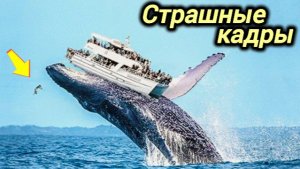 06-06-2026. ЧП❗КАТАКЛИЗМЫ❗КАТАСТРОФЫ‼️ ПРОИСШЕСТВИЯ ЗА ДЕНЬ. новости дня. СЕГОДНЯ. Россия США Китай