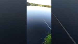 Пятница,мы снова с Пашей на рыбалку.
