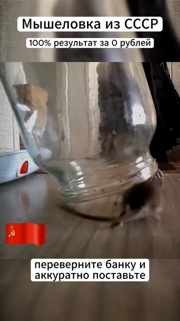 Секрет моего деда Как поймать мышь за 5 копеек! смотреть онлайн