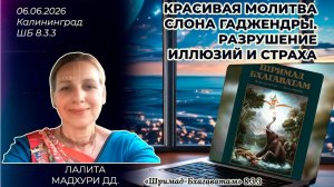 Красивая молитва Гаджендры. Разрушение иллюзий и страха. Лалита Мадхури. «Шримад-Бхагаватам» 8.3.3