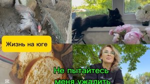 copy_2BD8AA6D-48CB-49F4-AF42-424E38F27F4F